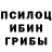 Галлюциногенные грибы мицелий King AshBel