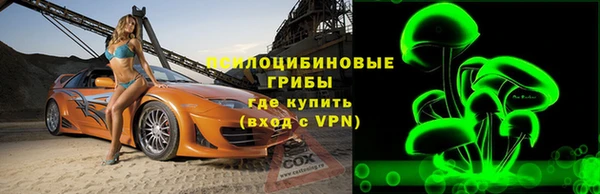 крисы Алзамай