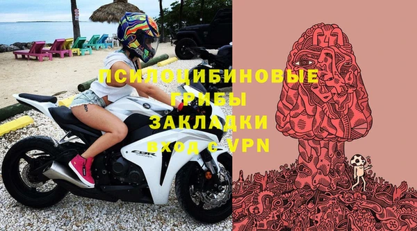 крисы Алзамай
